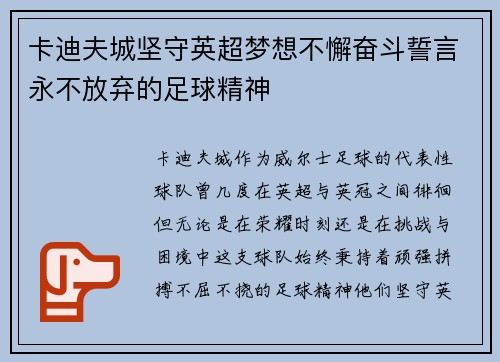 卡迪夫城坚守英超梦想不懈奋斗誓言永不放弃的足球精神