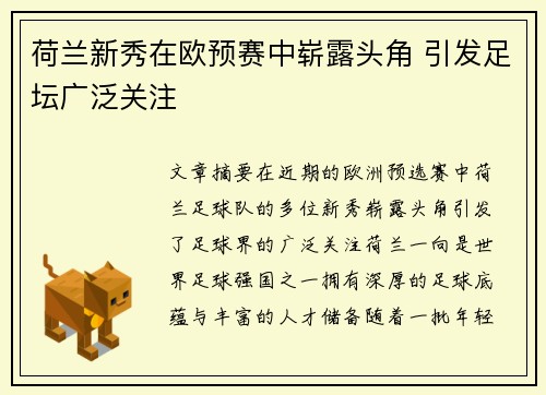 荷兰新秀在欧预赛中崭露头角 引发足坛广泛关注