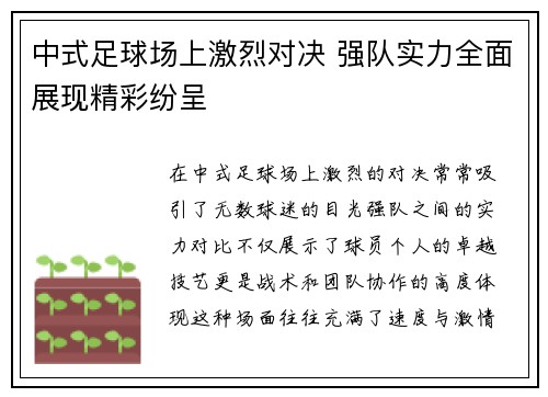中式足球场上激烈对决 强队实力全面展现精彩纷呈