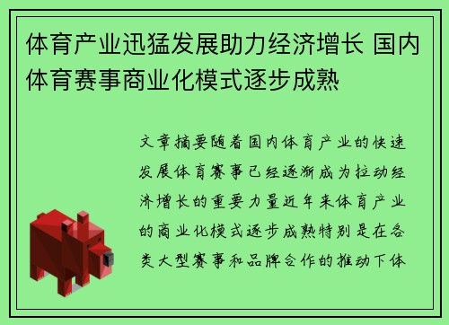 体育产业迅猛发展助力经济增长 国内体育赛事商业化模式逐步成熟